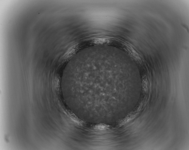 X0000097510375200802291623