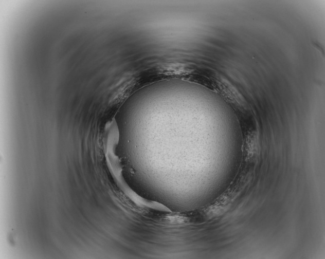 X0000097510376200802291623