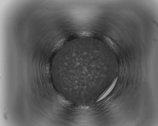 X0000097510377200802291623