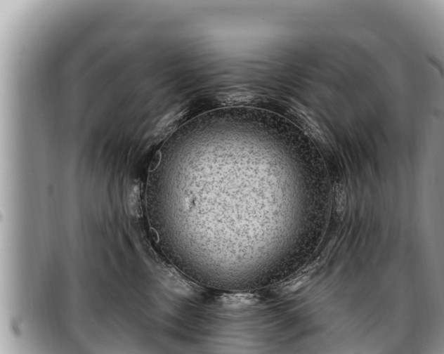 X0000097510378200802291623