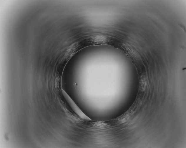 X0000097510379200802291623