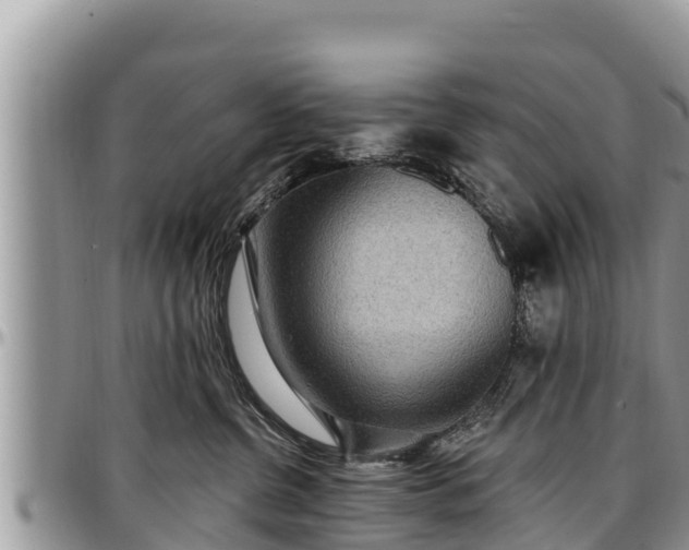 X0000097510380200802291623