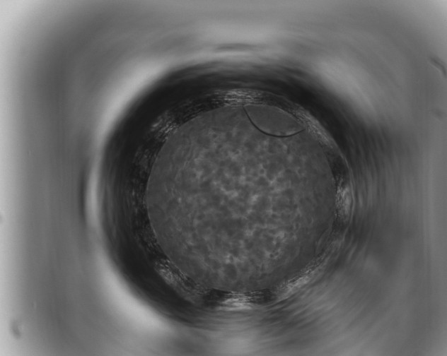 X0000097510381200802291624