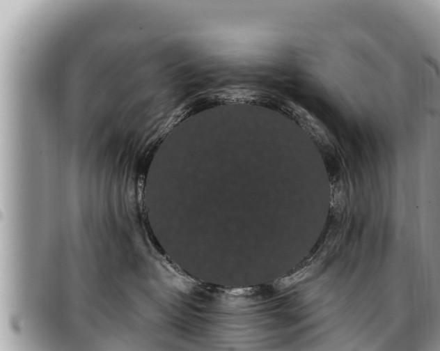 X0000097510382200802291624