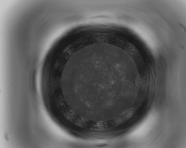 X0000097510383200802291624