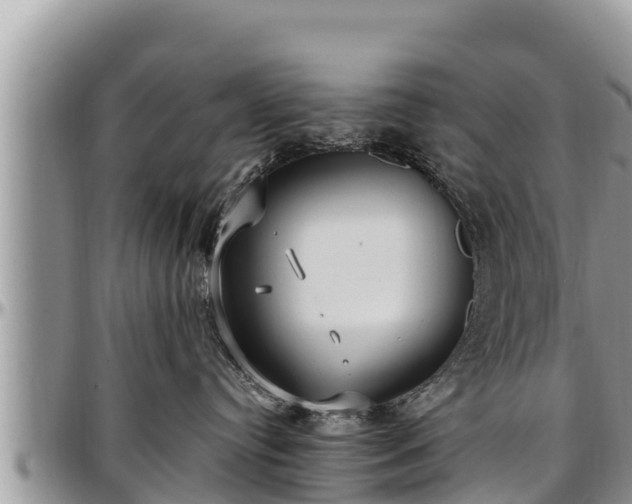 X0000097510384200802291624