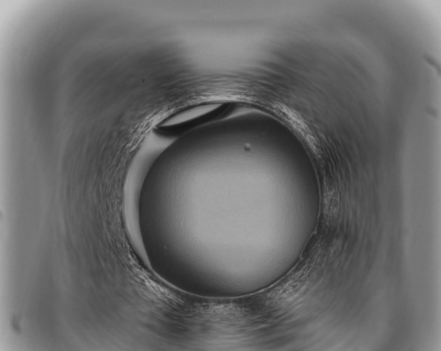 X0000097510385200802291623