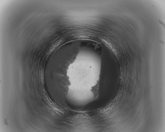 X0000097510386200802291623