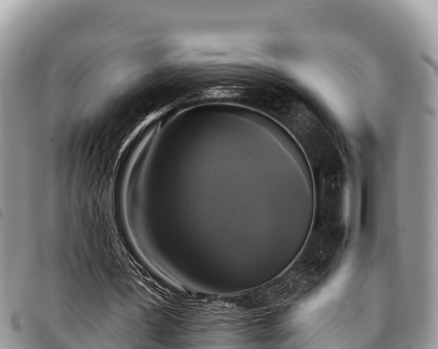 X0000097510387200802291623