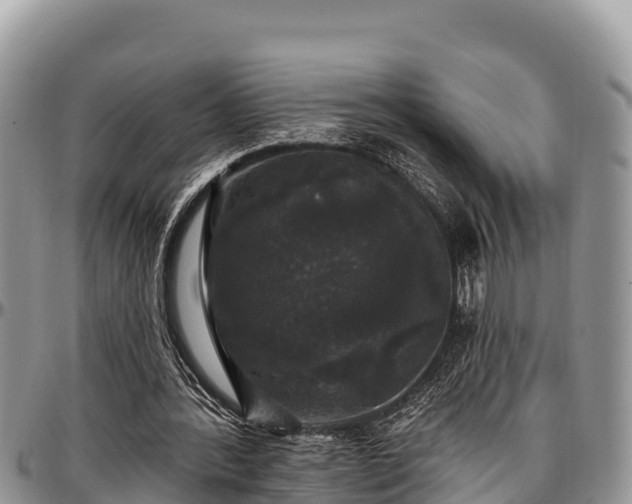 X0000097510388200802291623