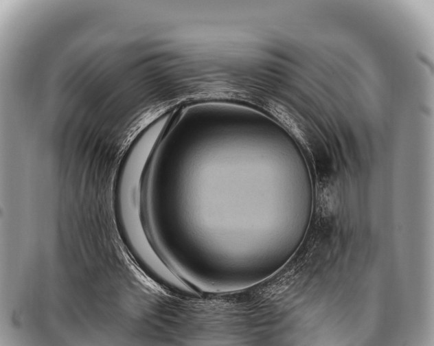 X0000097510389200802291623