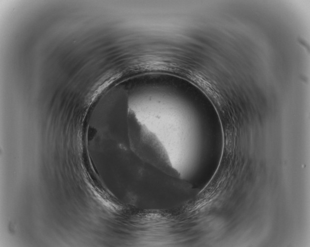 X0000097510390200802291623