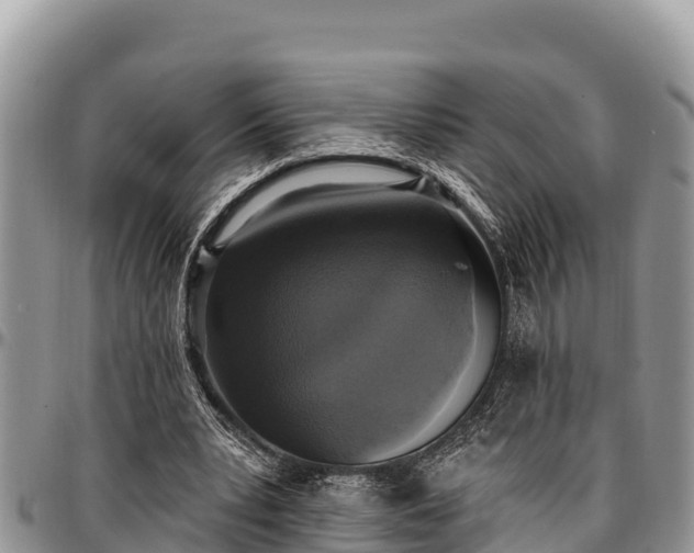 X0000097510391200802291623