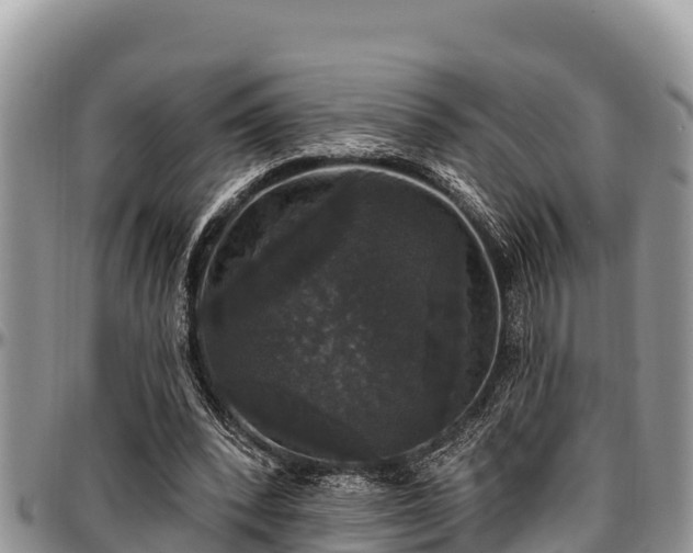 X0000097510392200802291623