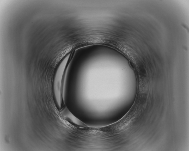 X0000097510393200802291623