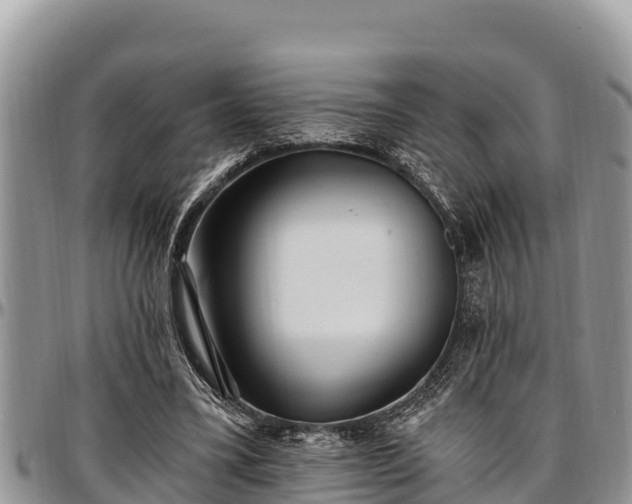 X0000097510395200802291623