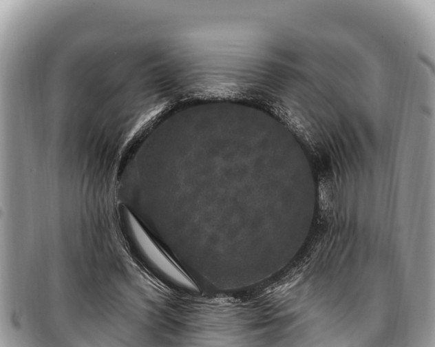 X0000097510396200802291623