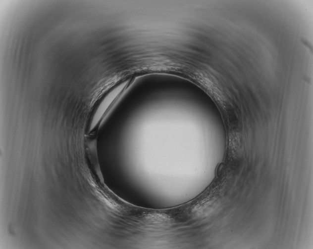 X0000097510397200802291623