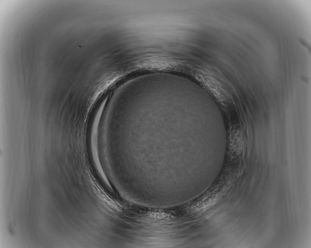 X0000097510399200802291623