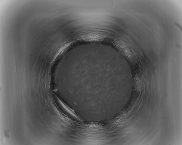 X0000097510400200802291623