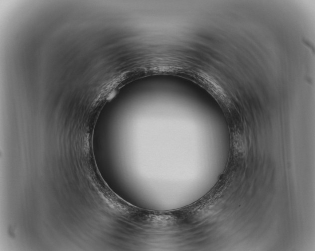 X0000097510401200802291623