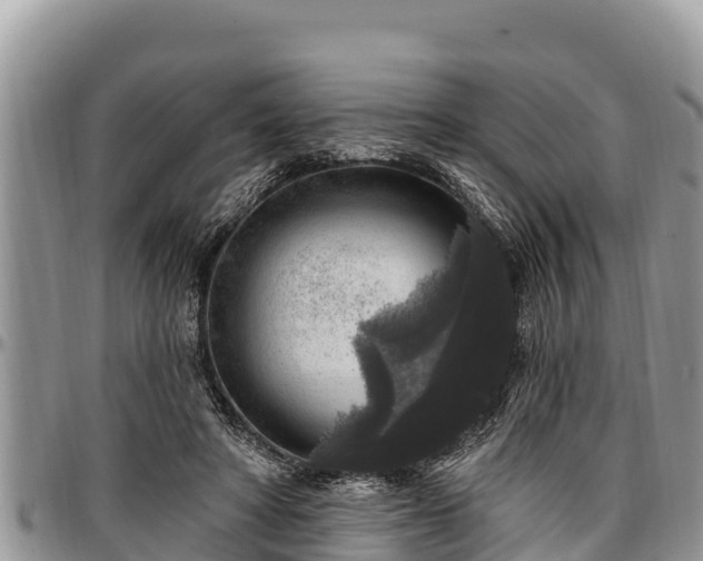 X0000097510402200802291623