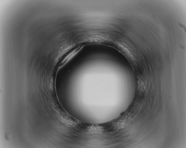 X0000097510403200802291623