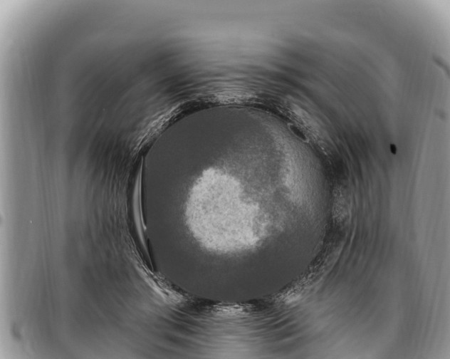 X0000097510405200802291623