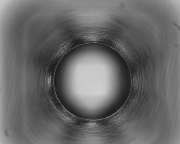 X0000097510406200802291623