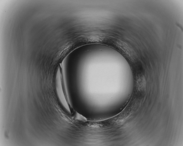 X0000097510407200802291623