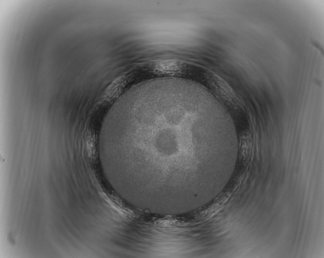 X0000097510408200802291623