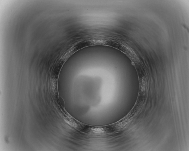 X0000097510409200802291623