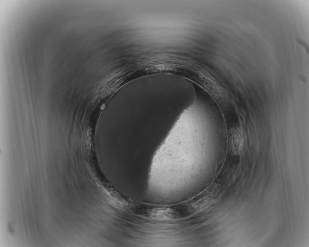 X0000097510410200802291623