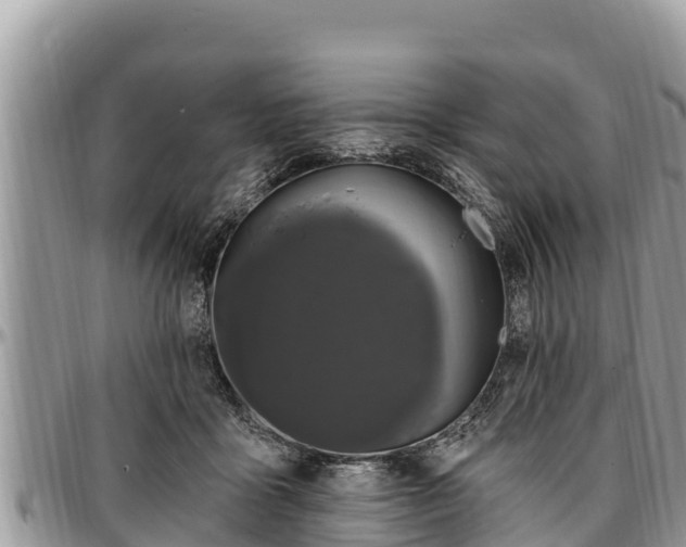 X0000097510411200802291623