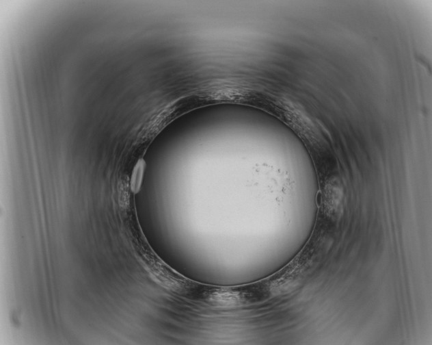 X0000097510413200802291623