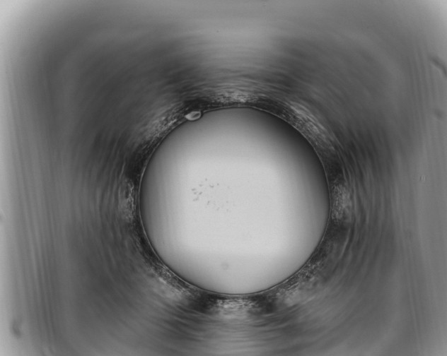 X0000097510414200802291623