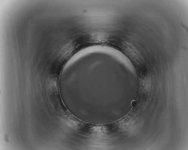 X0000097510415200802291623