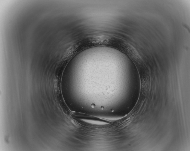 X0000097510416200802291622