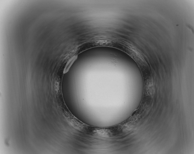 X0000097510417200802291622