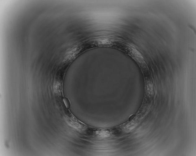 X0000097510419200802291622