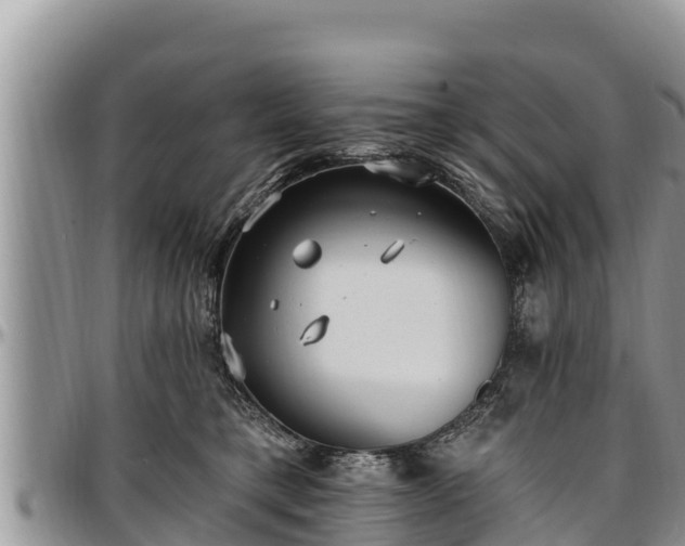 X0000097510421200802291622