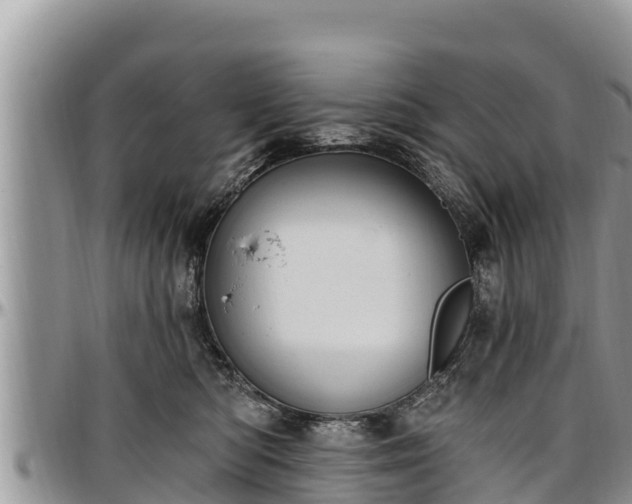 X0000097510422200802291622