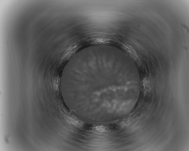 X0000097510423200802291622