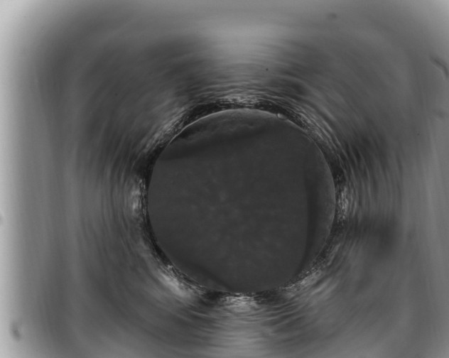 X0000097510424200802291622