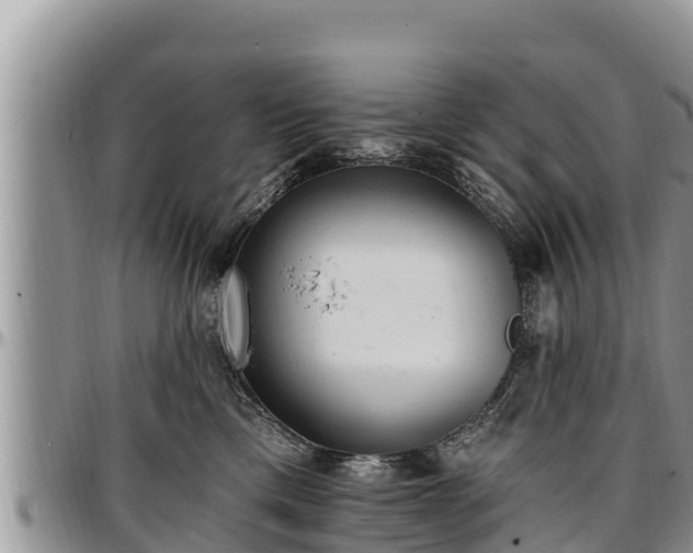 X0000097510425200802291622