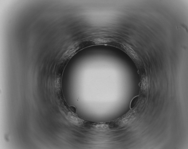 X0000097510426200802291622