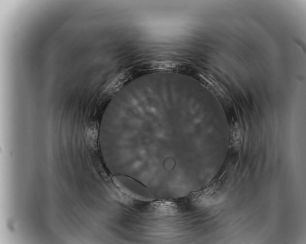 X0000097510427200802291622