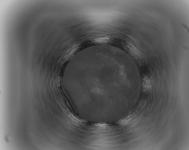 X0000097510428200802291622