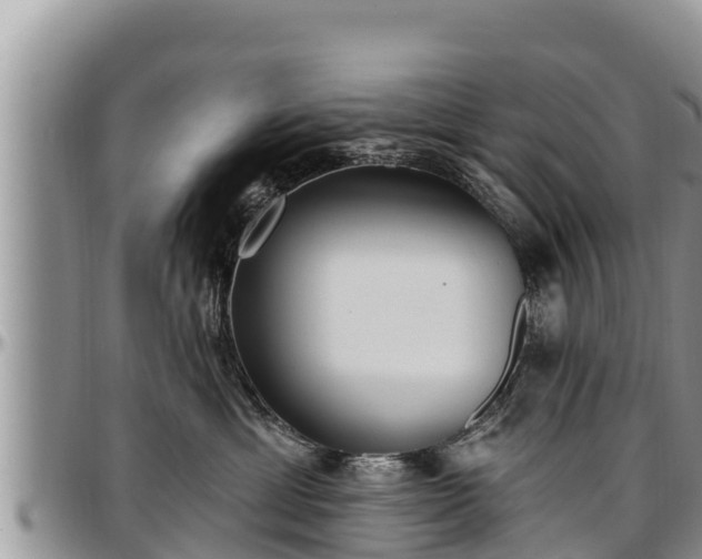 X0000097510429200802291622