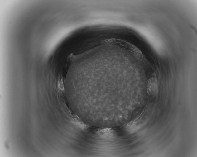 X0000097510431200802291622